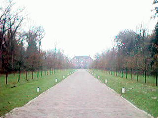 LAAN